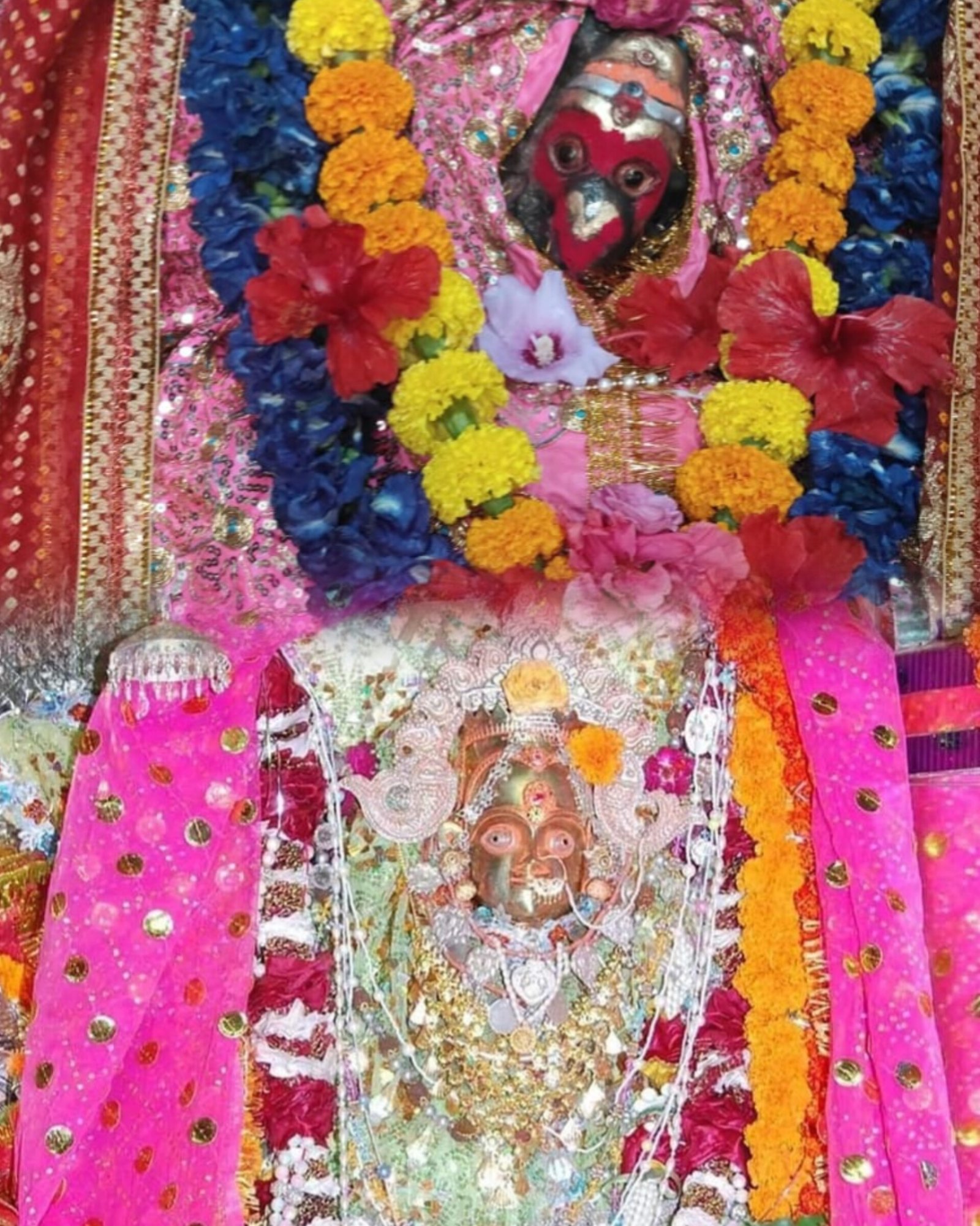 पन्ना ब्रेकिंग: आज रात माँ कलेही की महाआरती, 51 दीपों से जगमगाएगा दरबार